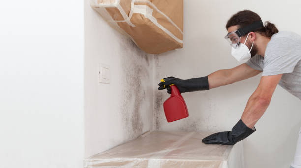Professional Black Mold Removal technician working in Lindenhurst, NY