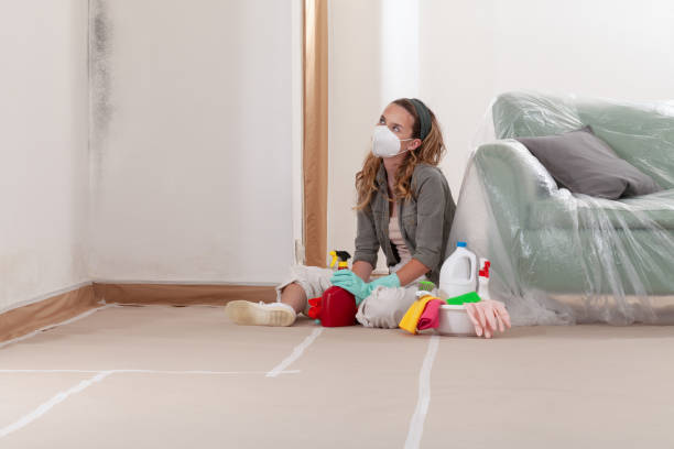 Trusted Black Mold Removal service in Lindenhurst, NY - WQB Mold Removal